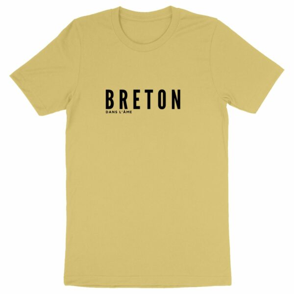 T-shirt Homme Breton - breton dans l'âme